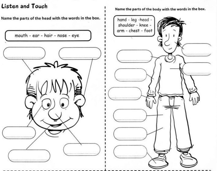 body-parts-free-printables-body-parts-interactive-worksheet-body